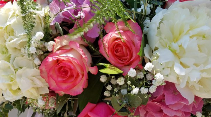 Anemoni flowers & Creations
