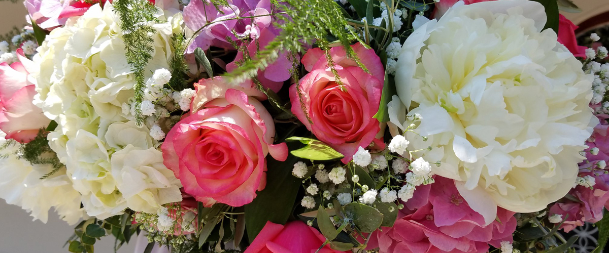 Anemoni flowers & Creations