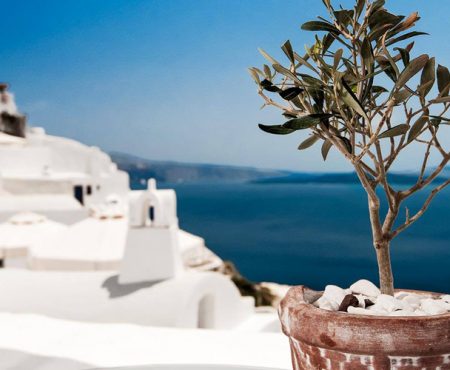 Alexander’s Boutique Hotel of Oia