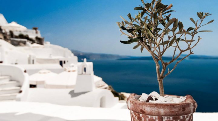 Alexander’s Boutique Hotel of Oia