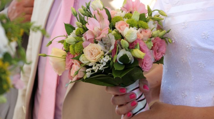 Flowers dafni
