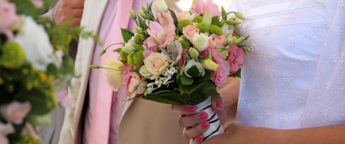 Flowers dafni
