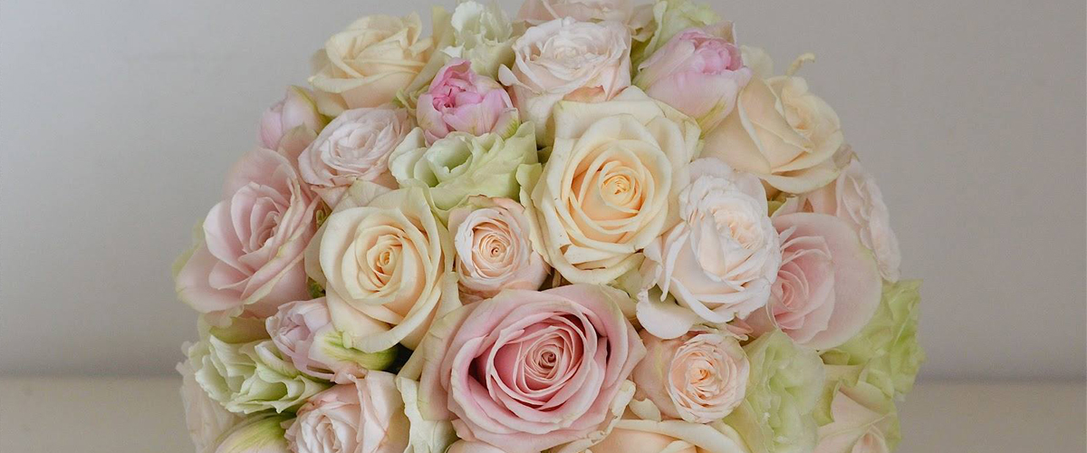 Leonardou Flowers