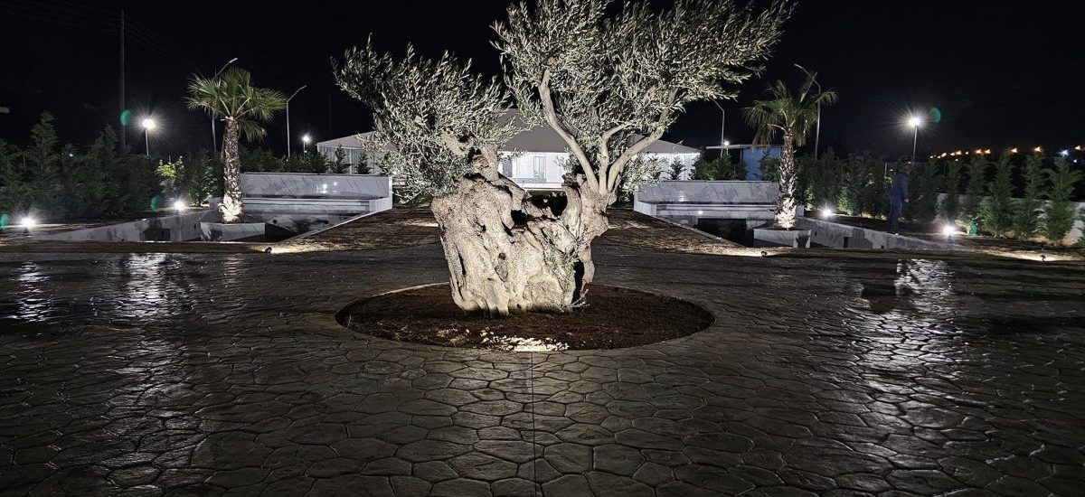 ΚΤΗΜΑ ΑΡΣΙΝΟΗ
