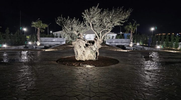 ΚΤΗΜΑ ΑΡΣΙΝΟΗ