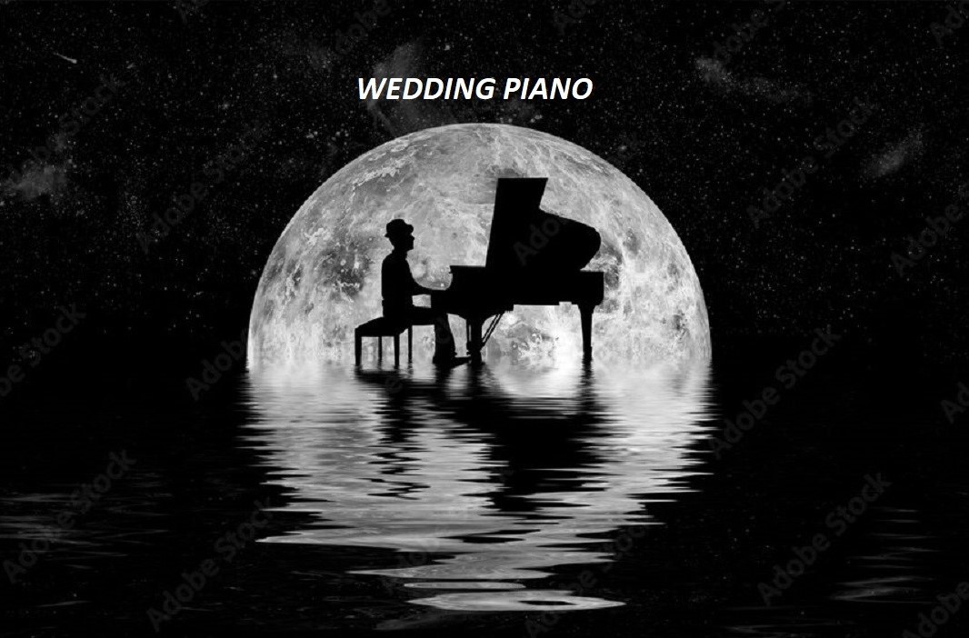 STEVEN KOKKAS/PIANO